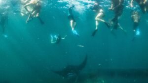 Privat manta point 11600X900-_0001_1766138002-44552cfc