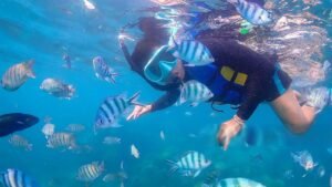 Snorkeling Fun Trip 11600X900-R_0000_1766139762-4bc0478c