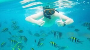 Snorkeling Fun Trip 11600X900-R_0002_1766139834-74d41b27