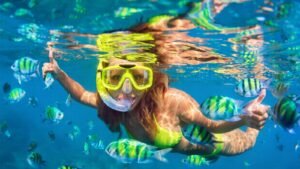 Snorkeling Fun Trip 11600X900-R_0003_2c5a8203-5abc-4d82-8c90-79a91e26f2d7_0